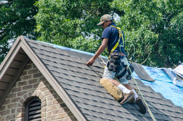 Roof Gutter Cleaning in Haverford College, PA
